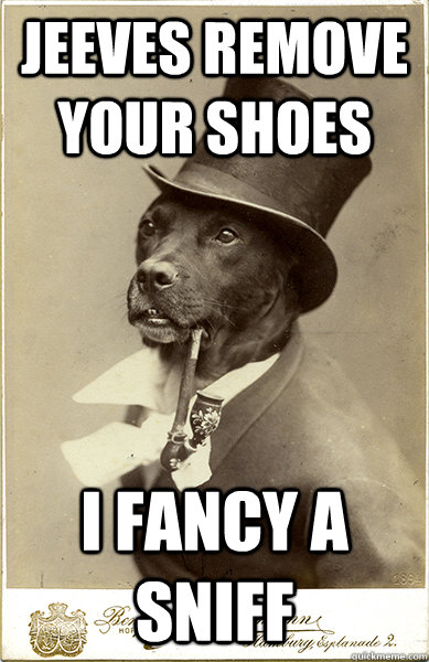 Jeeves remove your shoes I fancy a sniff  Old Money Dog