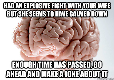 Had an explosive fight with your wife but she seems to have calmed down Enough time has passed, go ahead and make a joke about it   Scumbag Brain