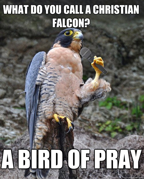 What do you call a christian falcon? A Bird of pray  
