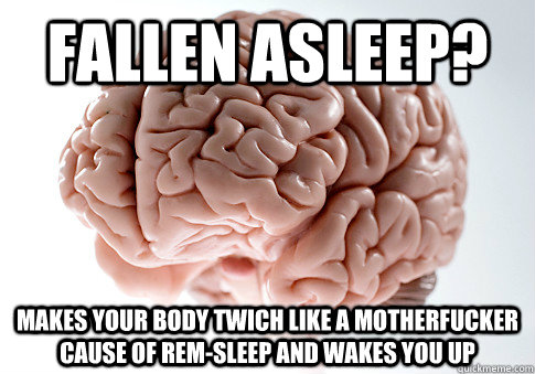 Fallen asleep? Makes your body twich like a motherfucker cause of REM-sleep and wakes you up  Scumbag Brain