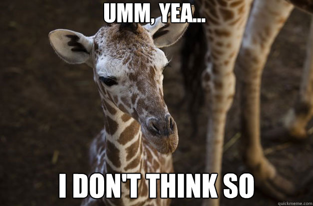 Umm, yea... I don't think so - Umm, yea... I don't think so  Condescending Giraffe