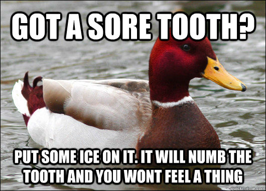 GOT A SORE TOOTH? PUT SOME ICE ON IT. IT WILL NUMB THE TOOTH AND YOU WONT FEEL A THING  Malicious Advice Mallard