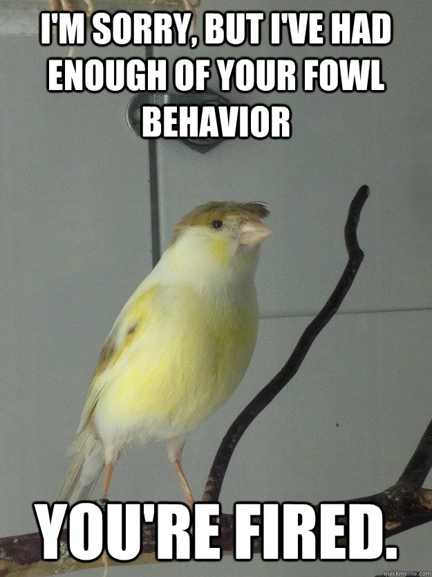 I'm sorry, but i've had enough of your fowl behavior You're fired. - I'm sorry, but i've had enough of your fowl behavior You're fired.  Donald Trump Bird