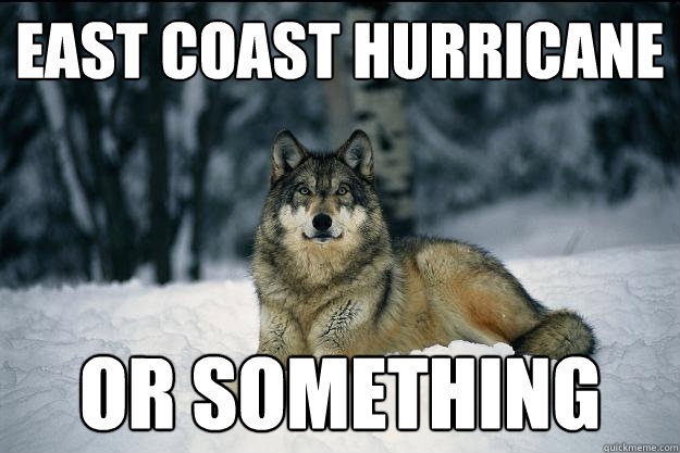 East Coast Hurricane OR SOMETHING  Wolf