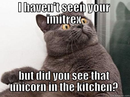 I HAVEN'T SEEN YOUR IMITREX BUT DID YOU SEE THAT UNICORN IN THE KITCHEN? conspiracy cat