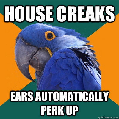 House creaks Ears automatically perk up  Paranoid Parrot