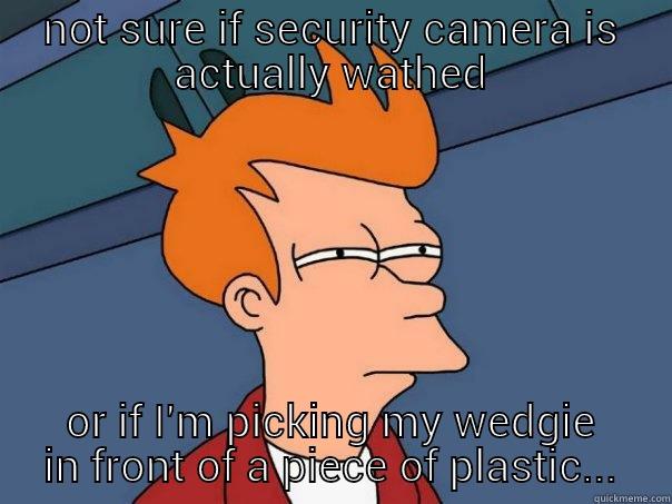 NOT SURE IF SECURITY CAMERA IS ACTUALLY WATHED OR IF I'M PICKING MY WEDGIE IN FRONT OF A PIECE OF PLASTIC... Futurama Fry