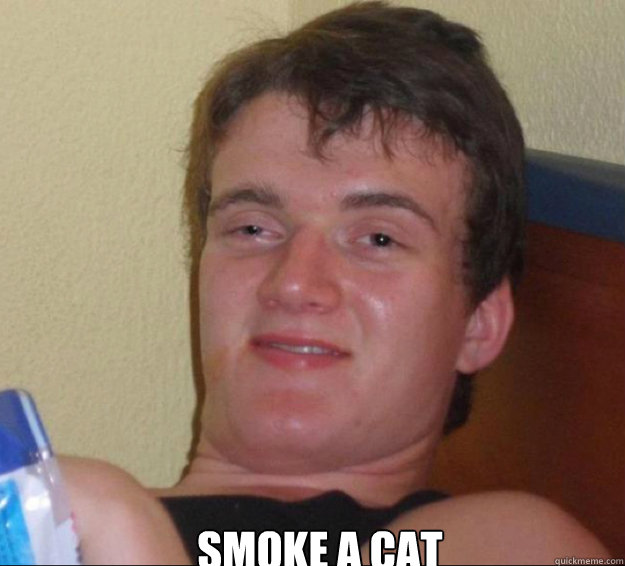  smoke a cat  10guy