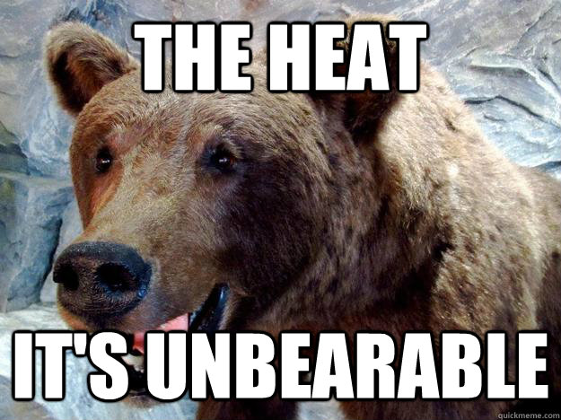 The heat It's unbearable  Unbearable Pun Bear