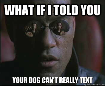 What if I told you Your dog can't really text  Morpheus SC