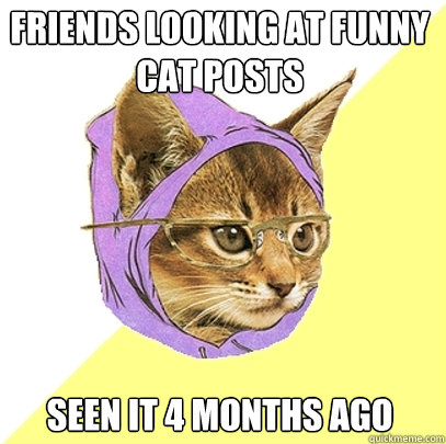 Friends looking at funny cat posts seen it 4 months ago  Hipster Kitty