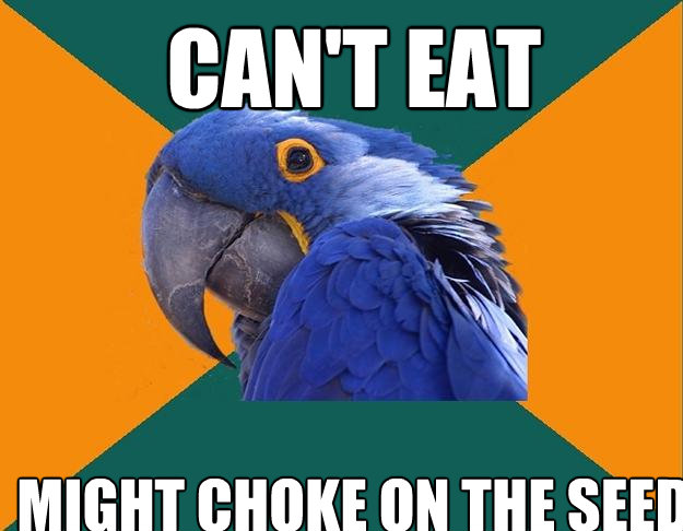 Can't eat Might choke on the seed  Paranoid Parrot