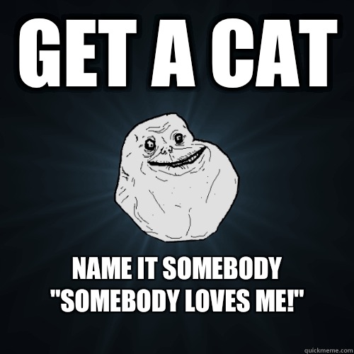 Get a cat name it somebody 