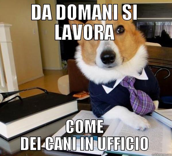 DA DOMANI SI LAVORA COME DEI CANI IN UFFICIO Lawyer Dog