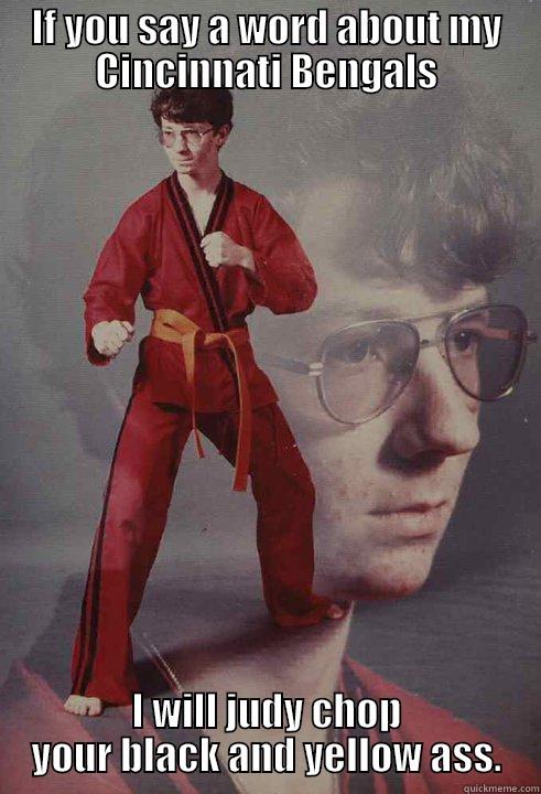 IF YOU SAY A WORD ABOUT MY CINCINNATI BENGALS I WILL JUDY CHOP YOUR BLACK AND YELLOW ASS. Karate Kyle