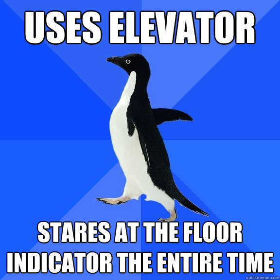 Uses Elevator Stares at the floor indicator the entire time  Socially Awkward Penguin