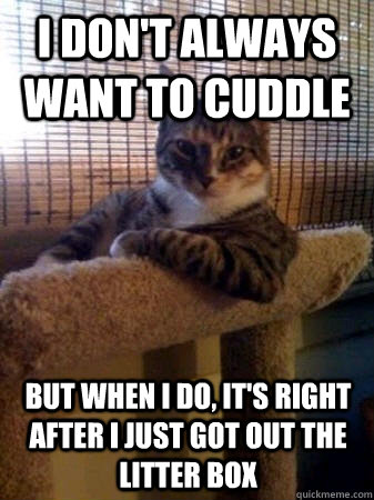 I don't always want to cuddle but when I do, it's right after i just got out the litter box  The Most Interesting Cat in the World