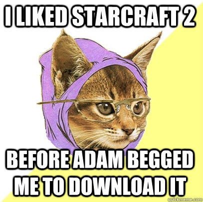 I liked Starcraft 2  Before Adam begged me to download it  Hipster Kitty
