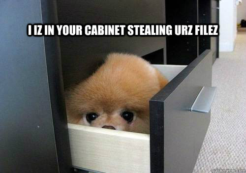 I iz in your cabinet stealing urz filez - I iz in your cabinet stealing urz filez  Stealing Files