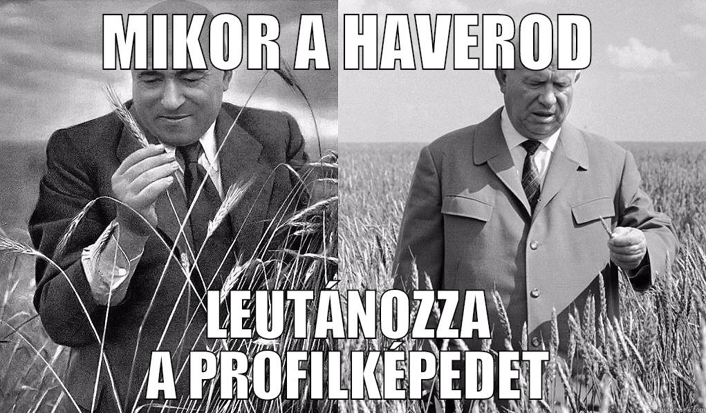 MIKOR A HAVEROD LEUTÁNOZZA A PROFILKÉPEDET Misc