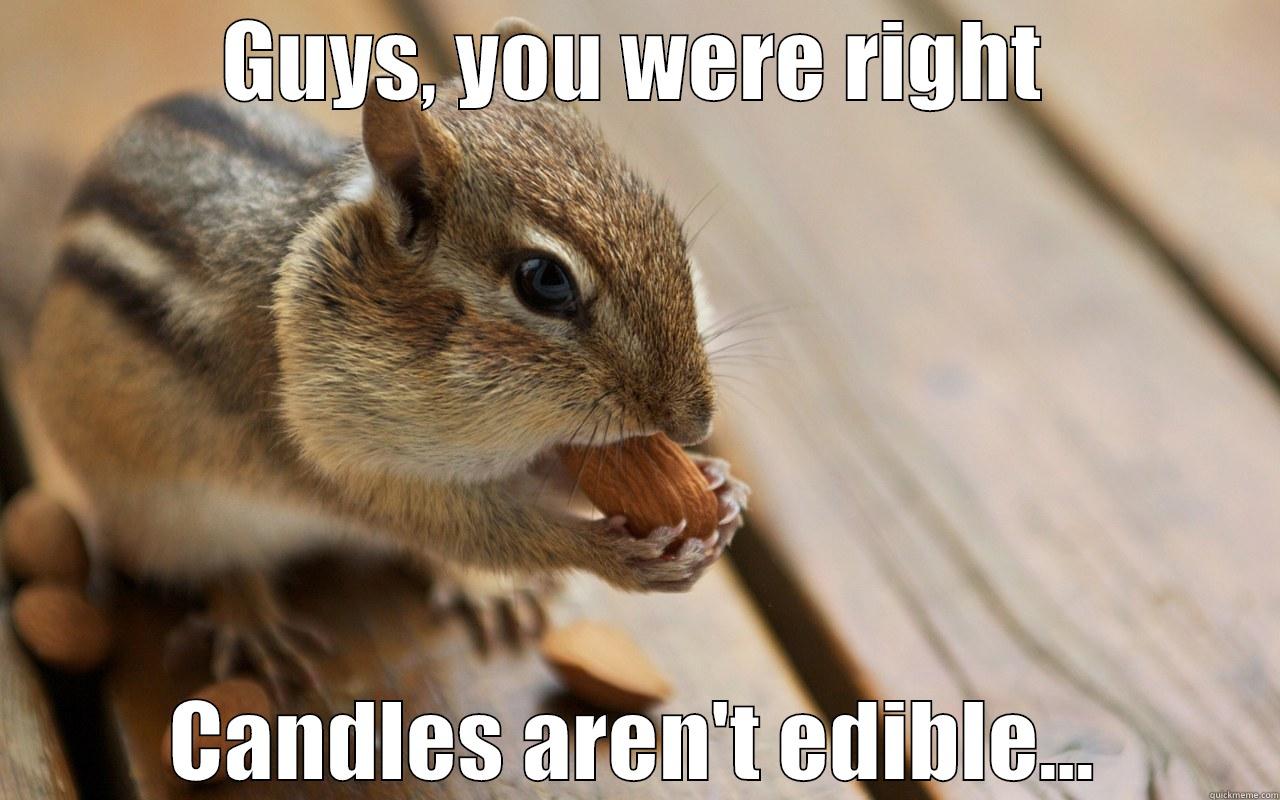 GUYS, YOU WERE RIGHT CANDLES AREN'T EDIBLE... Misc