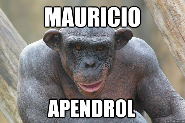 mauricio apendrol  The Most Interesting Chimp In The World