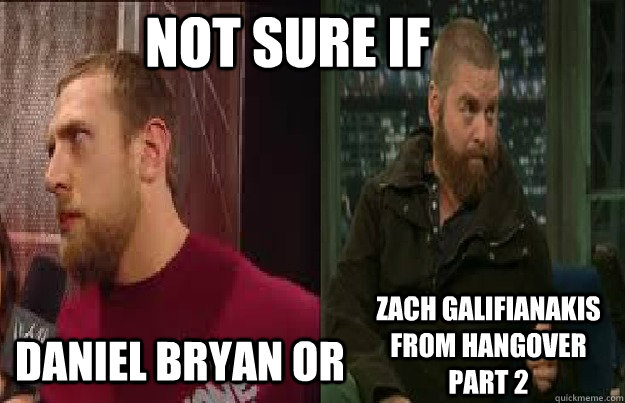 not sure if  Daniel Bryan or zach galifianakis from Hangover part 2 - not sure if  Daniel Bryan or zach galifianakis from Hangover part 2  db meme