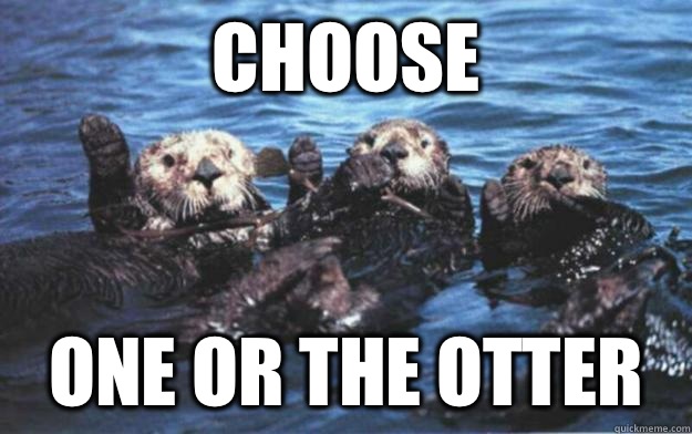 Choose one or the otter - Choose one or the otter  Otter Puns