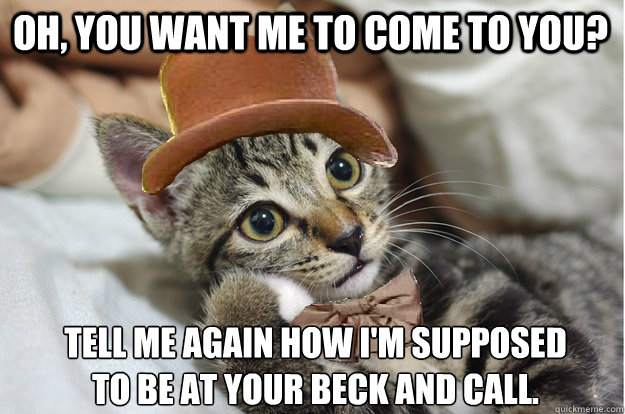 Oh, you want me to come to you? Tell me again how I'm supposed to be at your beck and call. - Oh, you want me to come to you? Tell me again how I'm supposed to be at your beck and call.  WonkaCat