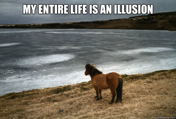 My entire life is an illusion   - My entire life is an illusion    Self-Reflection Pony