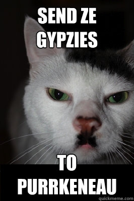 Send ze gypzies to purrkeneau  Hitler cat