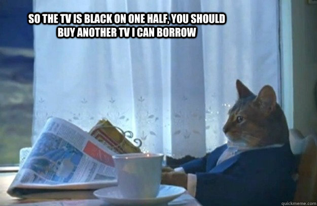 So the Tv is black on one half, You should buy another tv i can borrow  Sophisticated Cat