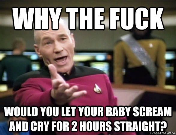Why the fuck Would you let your baby scream and cry for 2 hours straight?  Annoyed Picard HD