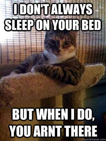 I don't always sleep on your bed but when I do, you arnt there  The Most Interesting Cat in the World