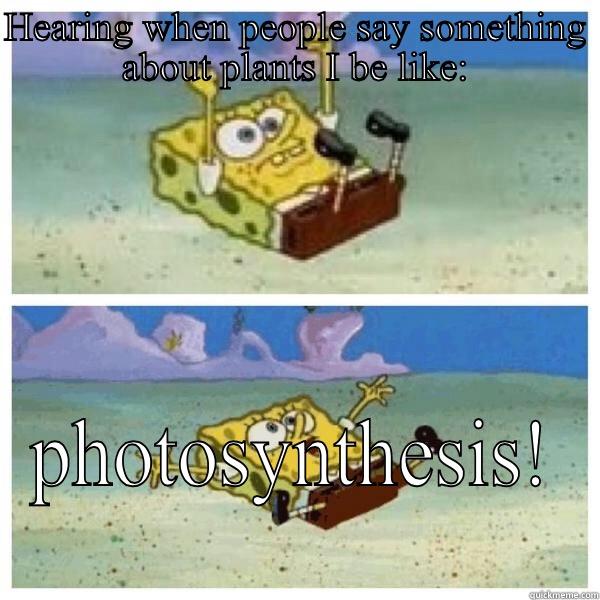 HEARING WHEN PEOPLE SAY SOMETHING ABOUT PLANTS I BE LIKE: PHOTOSYNTHESIS! Misc
