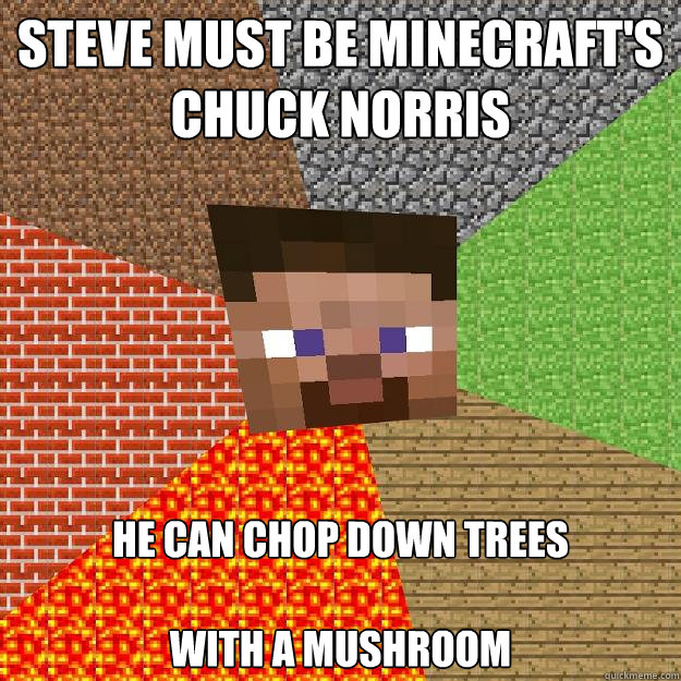 Steve must be minecraft's chuck norris he can chop down trees

with a mushroom  Minecraft