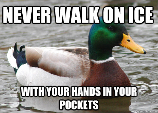 Never walk on Ice   with your hands in your pockets  - Never walk on Ice   with your hands in your pockets   Actual Advice Mallard