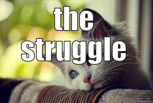 THE STRUGGLE  First World Problems Cat