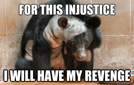 fOR THIS INJUSTICE I WILL HAVE MY REVENGE  Revenge Bear