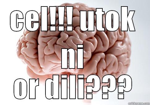 CEL!!! UTOK NI OR DILI??? Scumbag Brain