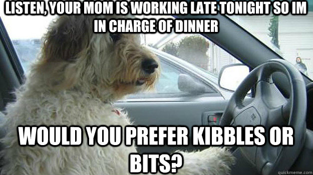 listen, your mom is working late tonight so im in charge of dinner would you prefer kibbles or bits?   