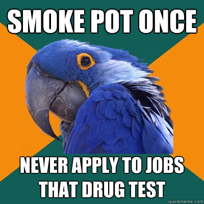 smoke pot once never apply to jobs that drug test  Paranoid Parrot