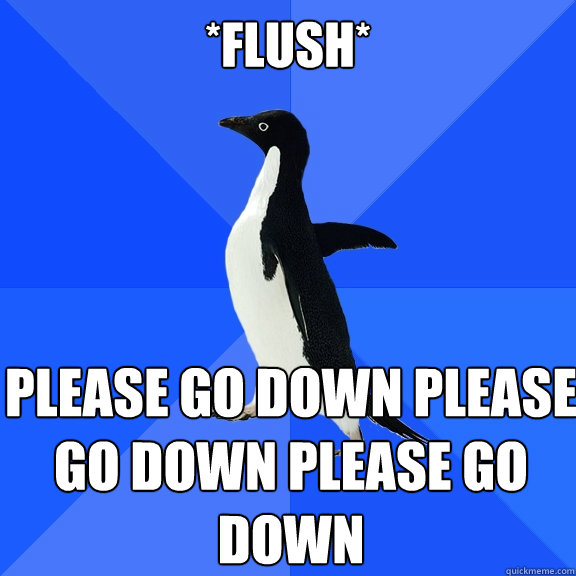 *FLUSH* please go down please go down please go down
  Socially Awkward Penguin
