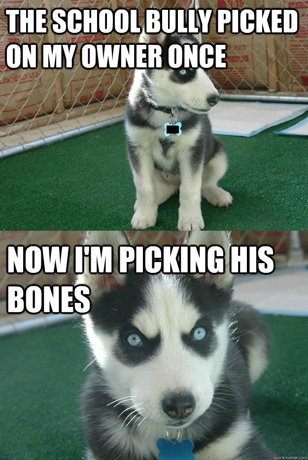 the school bully picked on my owner once now i'm picking his bones  Insanity puppy