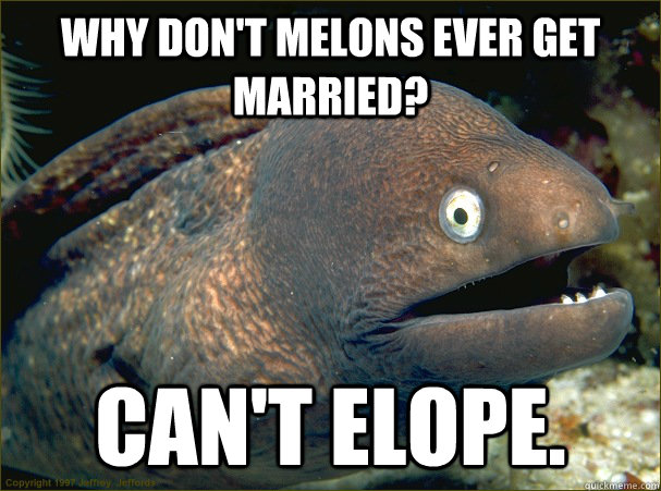 Why don't melons ever get married? Can't Elope. - Why don't melons ever get married? Can't Elope.  Bad Joke Eel