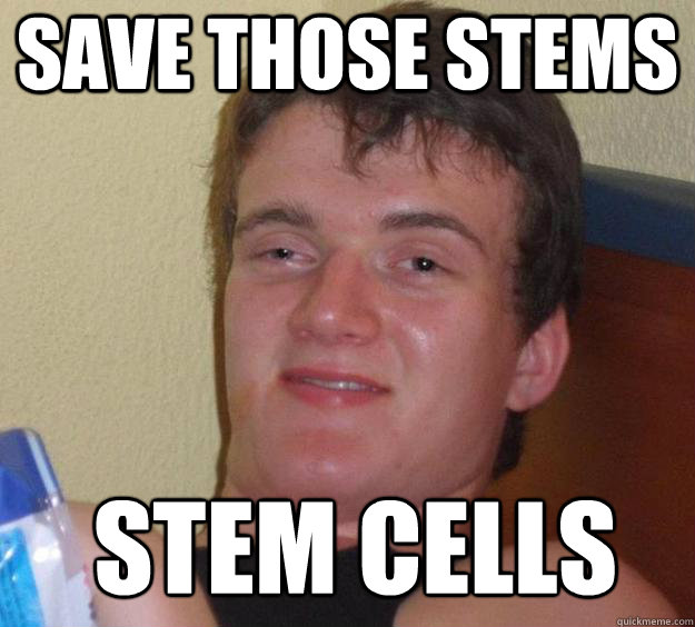 Save those stems Stem Cells   10 Guy
