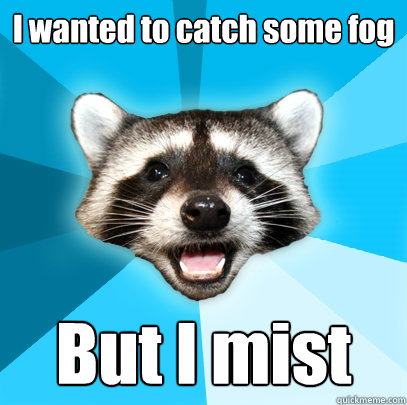 I wanted to catch some fog But I mist  Lame Pun Coon