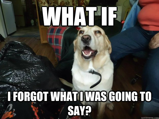 what if i forgot what i was going to say? - what if i forgot what i was going to say?  stoner dogs cousin