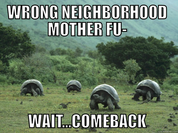    Wrong Neighborhood