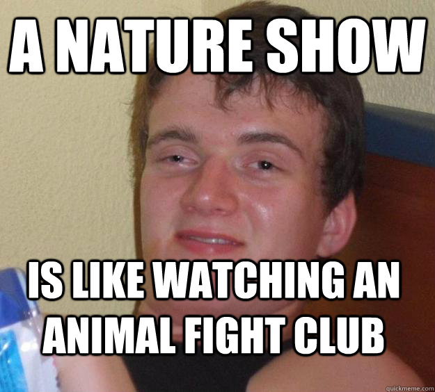a nature show is like watching an animal fight club  10 Guy